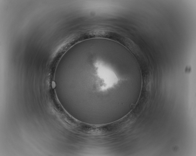 X0000112100735200908111417