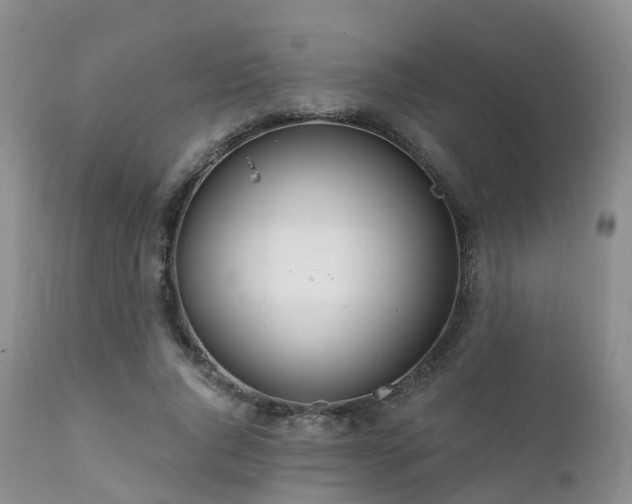 X0000112100736200908111417