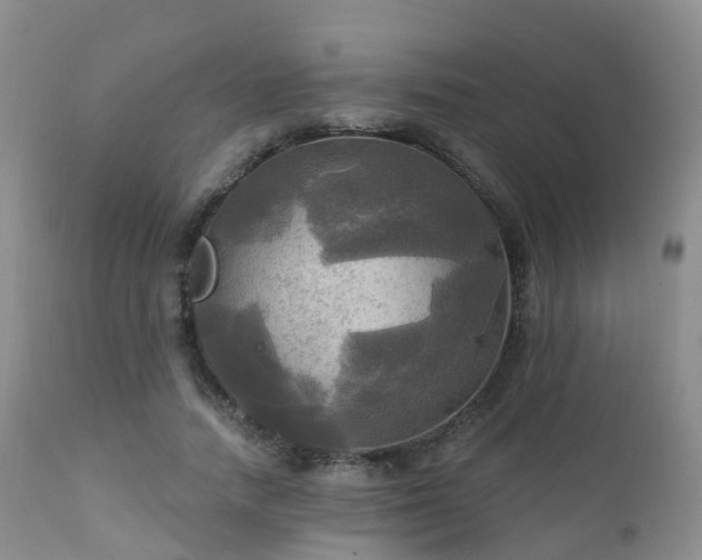 X0000112100738200908111417