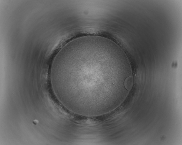 X0000112100739200908111417