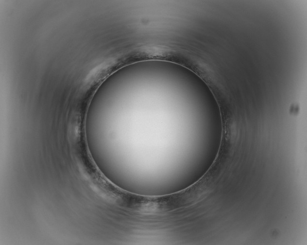 X0000112100740200908111417