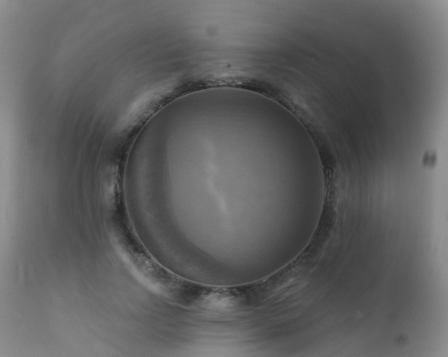 X0000112100742200908111417