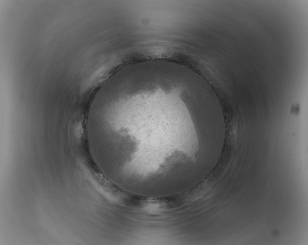 X0000112100746200908111417