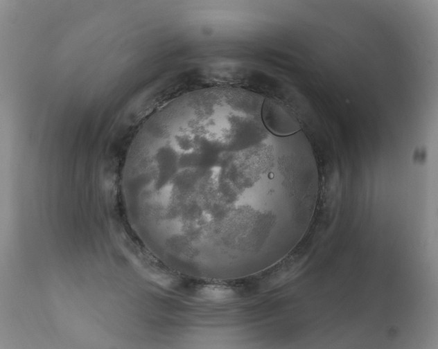X0000112100749200908111417