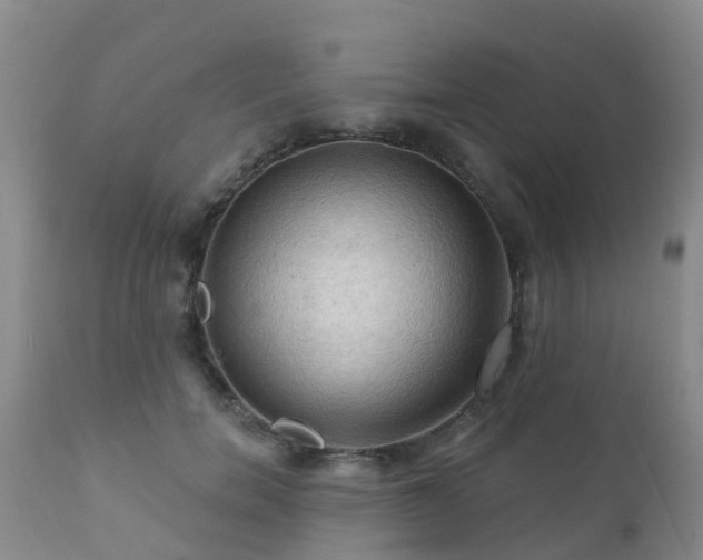 X0000112100750200908111417