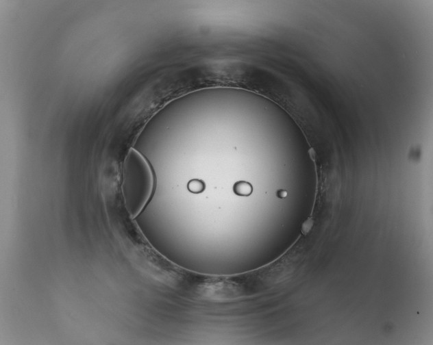 X0000112100752200908111417
