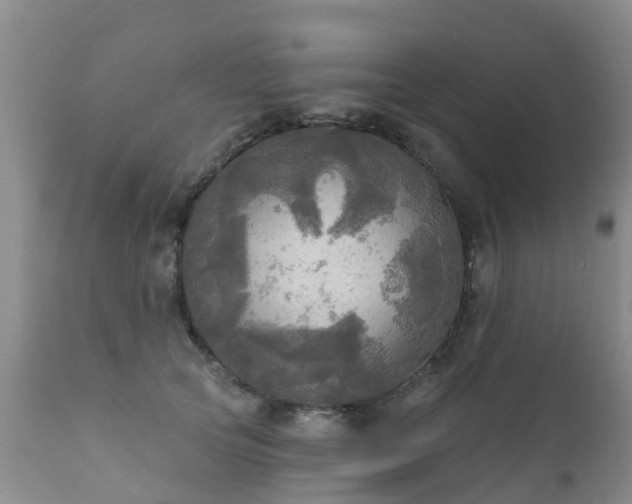 X0000112100753200908111417