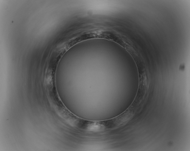 X0000112100754200908111417