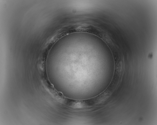 X0000112100755200908111417