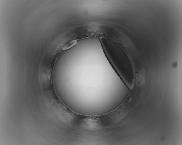 X0000112100756200908111417