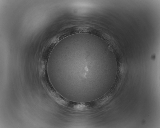 X0000112100759200908111417