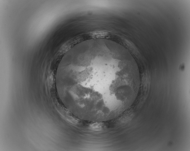 X0000112100761200908111417