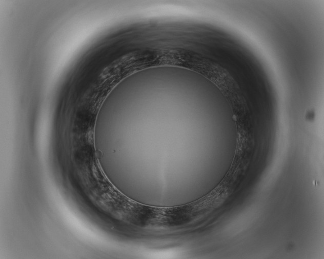 X0000112100765200908111417