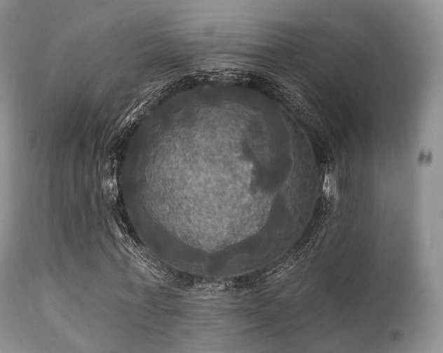 X0000112100771200908111416