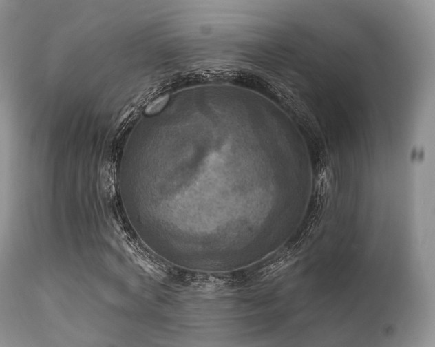 X0000112100772200908111416