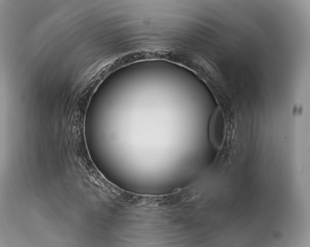 X0000112100773200908111416