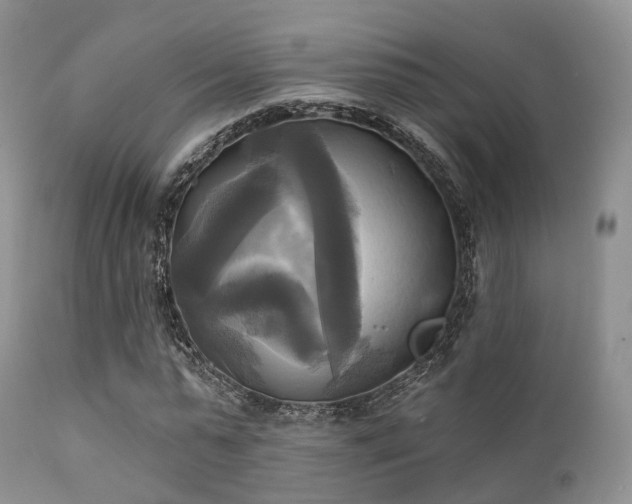 X0000112100775200908111416