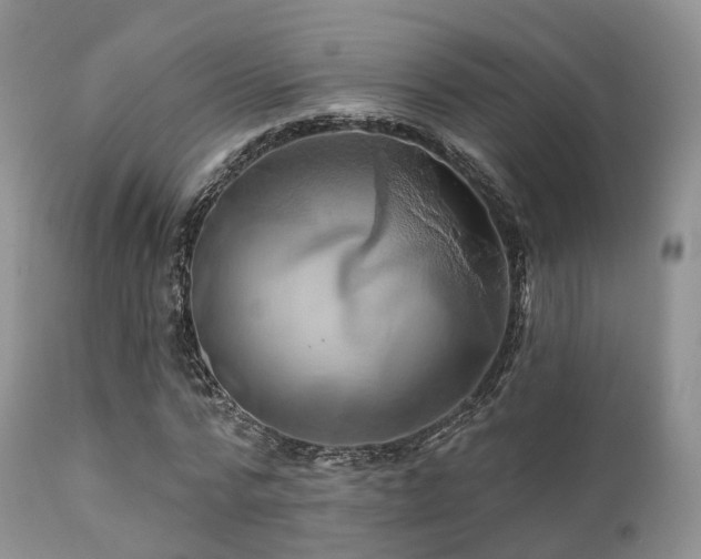X0000112100776200908111416