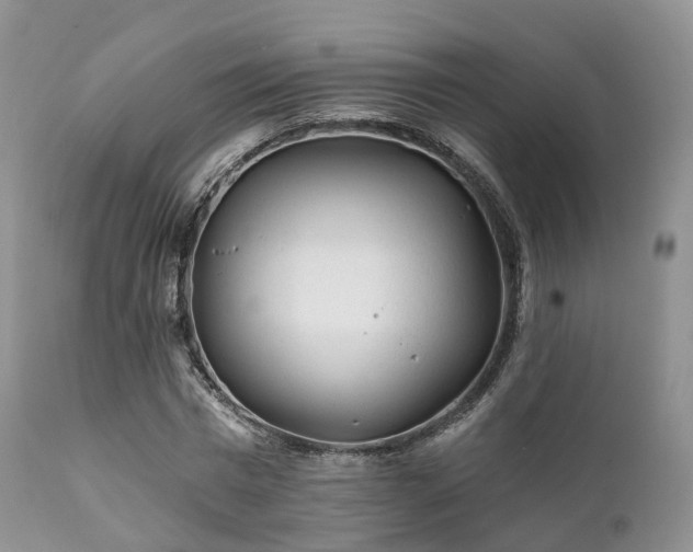 X0000112100777200908111416