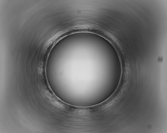 X0000112100778200908111416