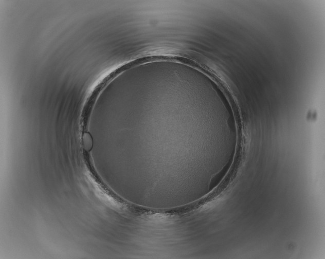X0000112100779200908111416