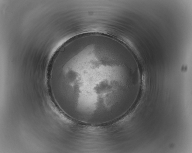 X0000112100780200908111416