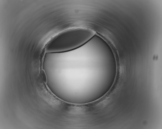 X0000112100781200908111416