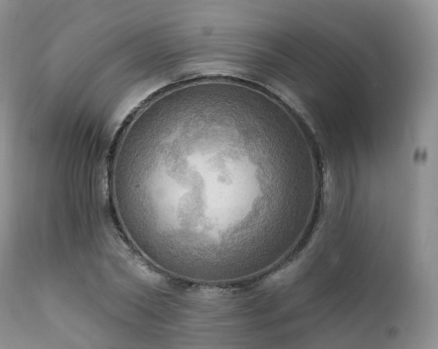 X0000112100782200908111416