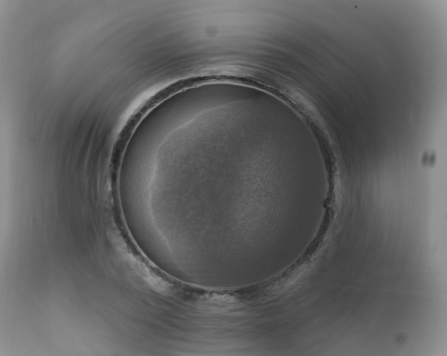X0000112100784200908111416