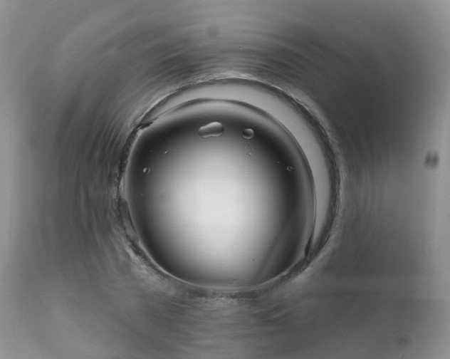 X0000112100785200908111416