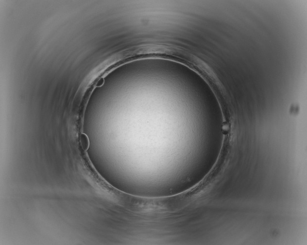 X0000112100786200908111416