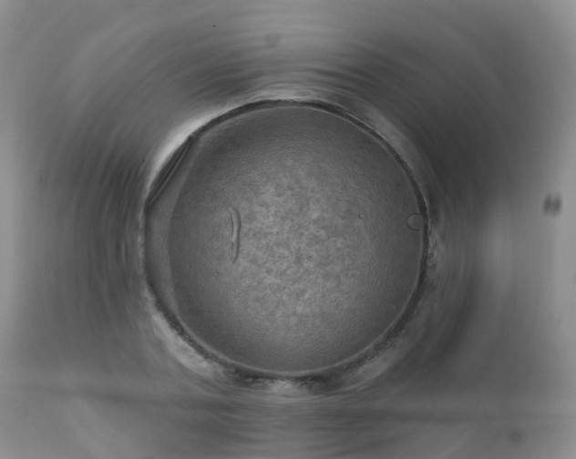 X0000112100787200908111416