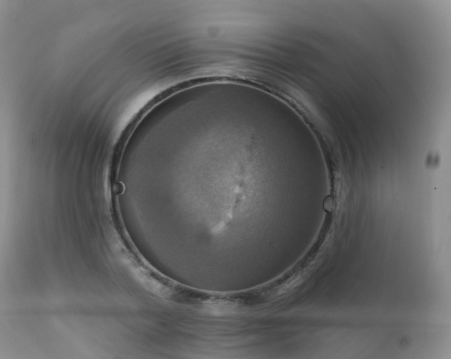 X0000112100788200908111416