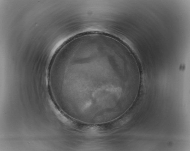 X0000112100791200908111416