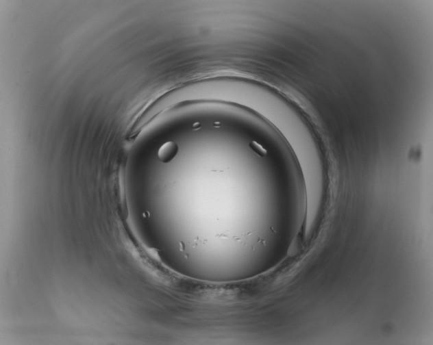 X0000112100793200908111416