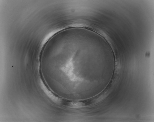 X0000112100795200908111416