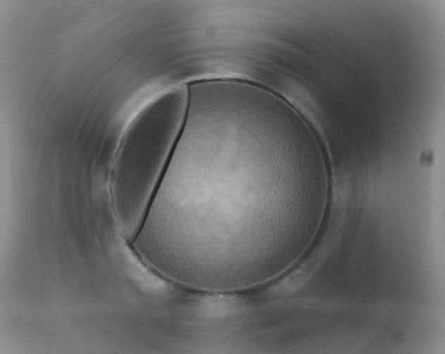 X0000112100797200908111416