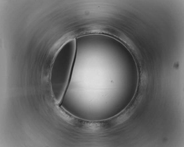 X0000112100801200908111416