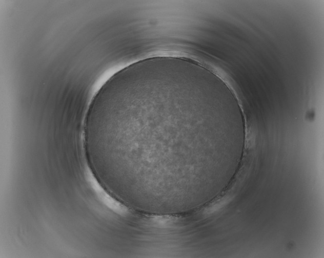 X0000112100803200908111416