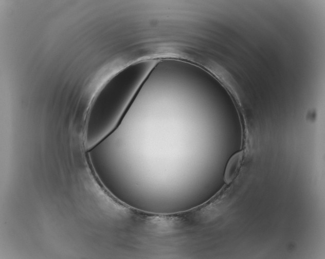 X0000112100805200908111416