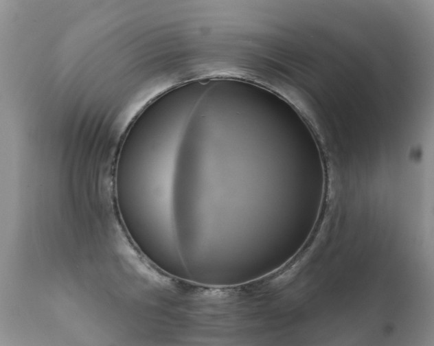 X0000112100806200908111416