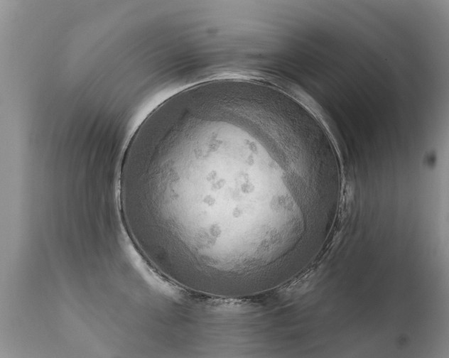 X0000112100811200908111416