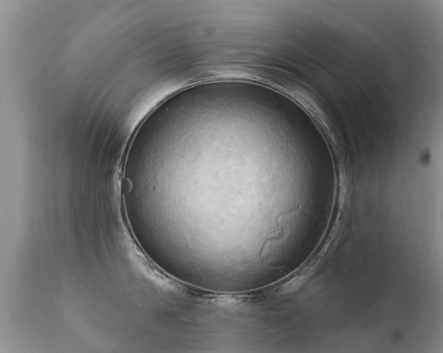X0000112100814200908111416