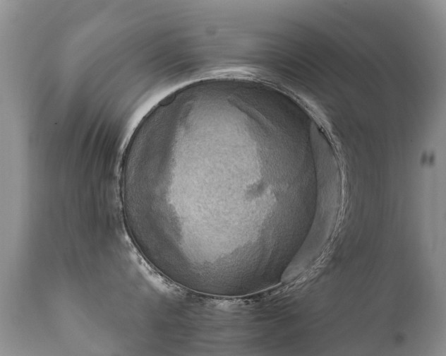 X0000112100816200908111416