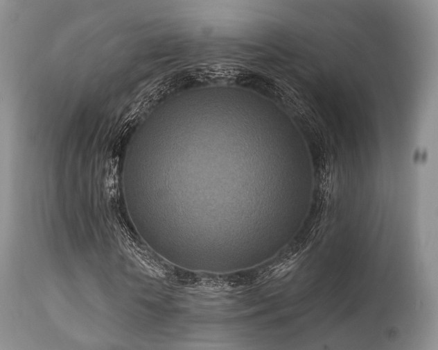 X0000112100818200908111415