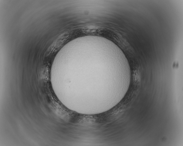 X0000112100820200908111415