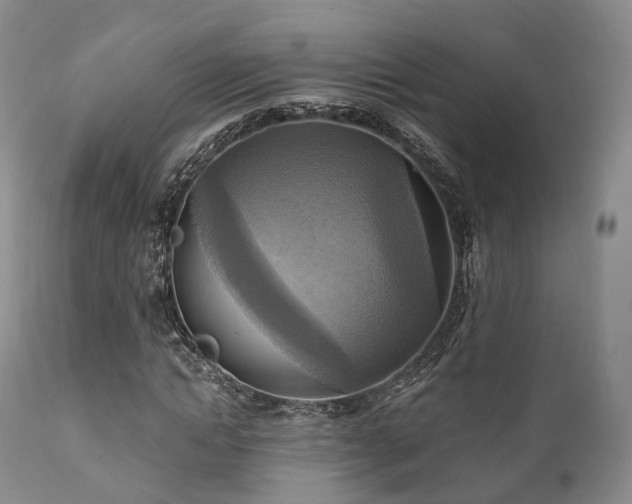 X0000112100822200908111415