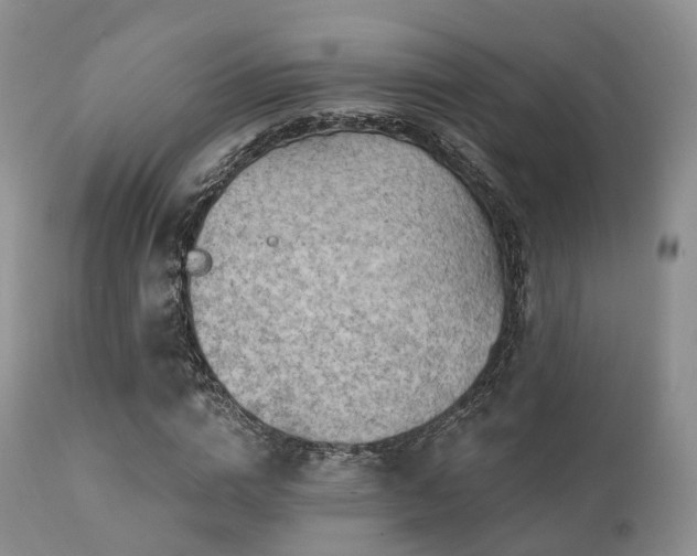 X0000112100824200908111415