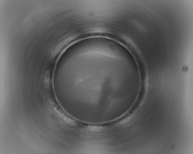 X0000112100825200908111415