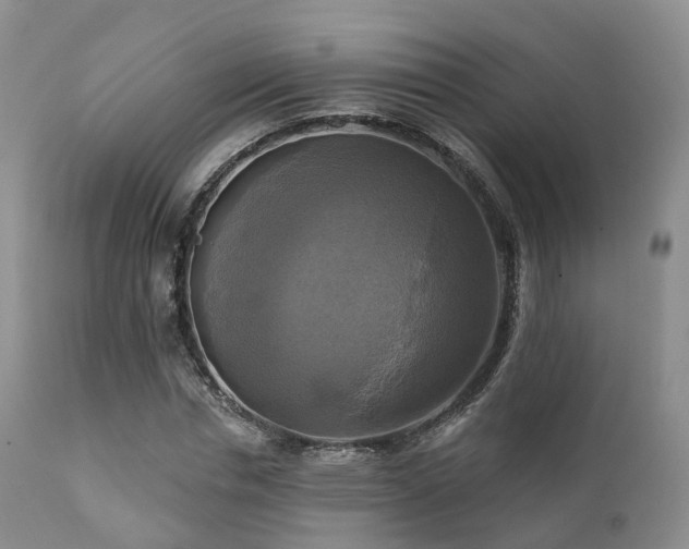 X0000112100826200908111415